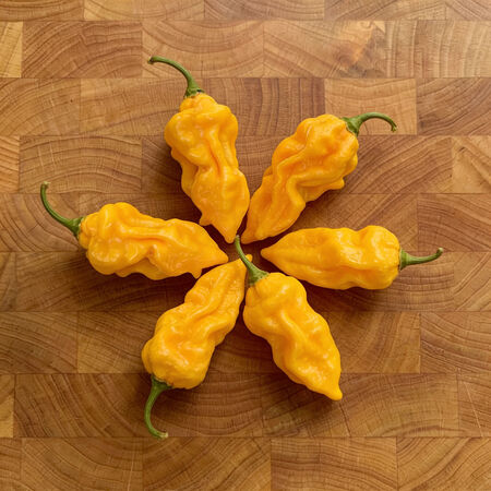 Devil's Tongue, Pepper Seeds - Packet image number null